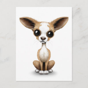 Niedliche Neugierige Chihuahua mit großen Ohren au Postkarte