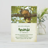 Niedliche Neugierige Eichhörnchenfotografie Geburt Einladung (Stehend Vorderseite)