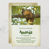 Niedliche Neugierige Eichhörnchenfotografie Geburt Einladung (Vorne/Hinten)