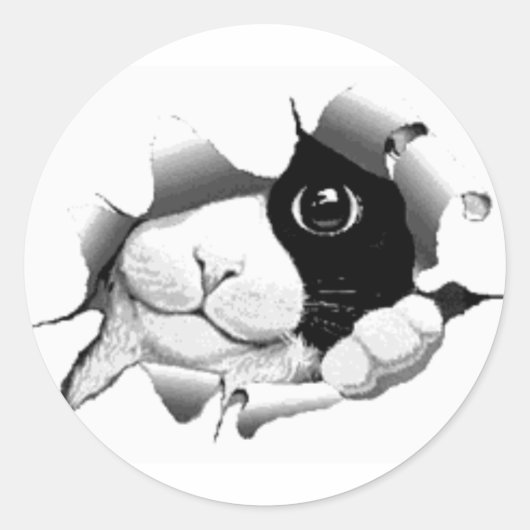 Niedliche, neugierige Katzengrafik Runder Aufkleber (Vorderseite)