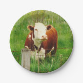 Niedliche, neugierige Kuh 4Lilly Pappteller (Vorderseite)