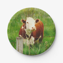 Niedliche, neugierige Kuh 4Lilly