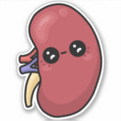 Niedliche Niere - Biologie des Menschen Aufkleber (Vorderseite)