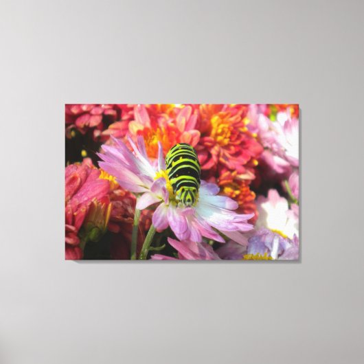 Niedliche Nosy-Raupe N Mas Wrapped Canvas Leinwanddruck (Vorderseite)