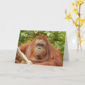 Niedliche Orang-Utan Geburtstagskarte Karte (Gelbe Blume)