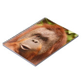 Niedliche Orang-Utan Notizblock (Linke Seite)