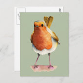 Niedliche Orange Robin Bird Wasserfarbe Kunst Postkarte (Vorne/Hinten)