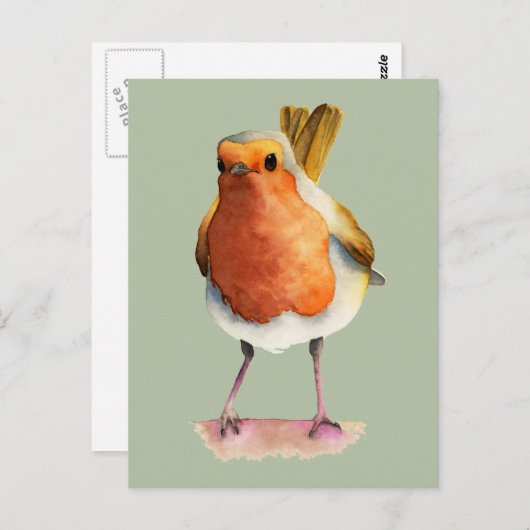Niedliche Orange Robin Bird Wasserfarbe Kunst Postkarte (Vorne/Hinten)