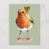 Niedliche Orange Robin Bird Wasserfarbe Kunst Postkarte (Vorderseite)