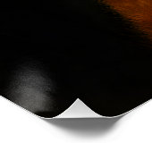 Niedliche Orange Tabby vs Menschenfuß Poster (Ecke)