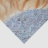 Niedliche Orangefarbene Tabby-Katze Seidenpapier (Detail)