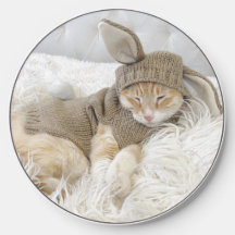 Niedliche Orangenkatze in Braunkaninchenkostüm