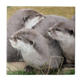 NIEDLICHE OTTERS FLIESE (Vorderseite)