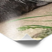 NIEDLICHE OTTERS FOTODRUCK (Ecke)