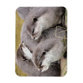 NIEDLICHE OTTERS MAGNET (Vertikal)