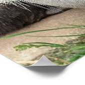 NIEDLICHE OTTERS POSTER (Ecke)