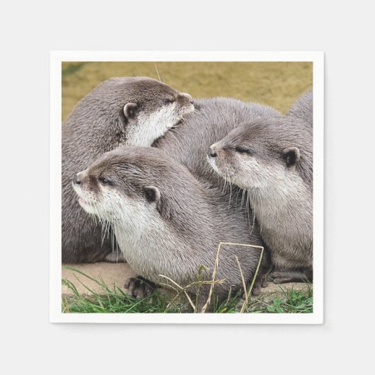 NIEDLICHE OTTERS SERVIETTE (Vorderseite)