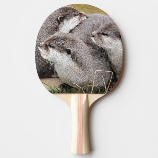NIEDLICHE OTTERS TISCHTENNIS SCHLÄGER (Vorderseite)