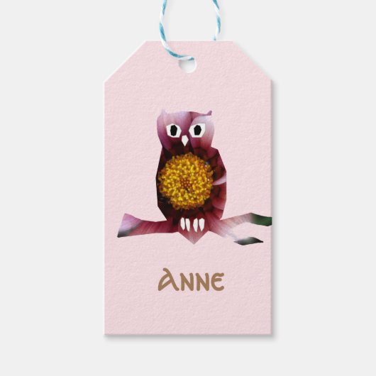 Niedliche Owl-, Bird-, Girl-Party-Geschenkmarken Geschenkanhänger (Vorderseite)