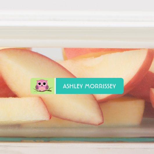 Niedliche Owl Kids Name Labels Etiketten (Befestigt)