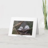 Niedliche Owls Karte (Rückseite)
