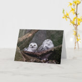 Niedliche Owls Karte (Gelbe Blume)