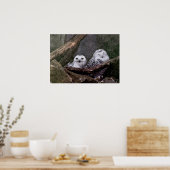 Niedliche Owls Poster (Küche)