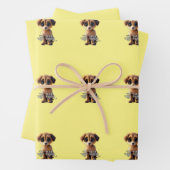 Niedliche Packpapiere Geschenkpapier Set (Beispiel)