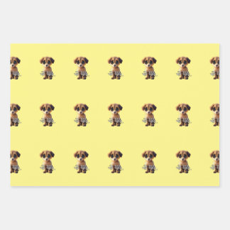 Niedliche Packpapiere Geschenkpapier Set