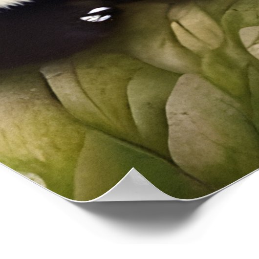 Niedliche Panda-Bären im Bambuswald Poster (Ecke)