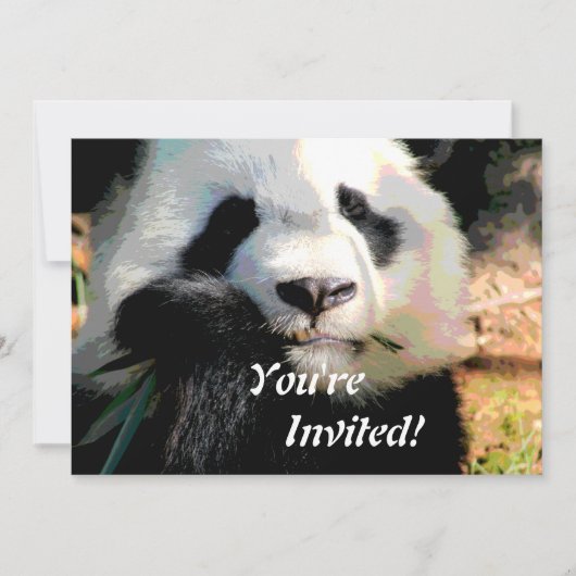 Niedliche Panda-Bärn-Einladung Einladung (Vorderseite)