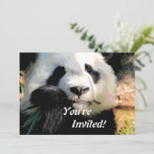 Niedliche Panda-Bärn-Einladung Einladung (Stehend Vorderseite)