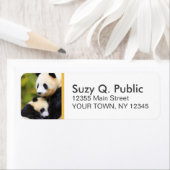 Niedliche Panda Bear-Adressenmarken (Insitu)