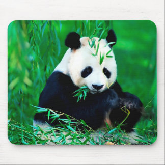 Niedliche Panda-Mausunterlage Mousepad