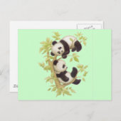Niedliche Pandas Postkarte (Vorne/Hinten)