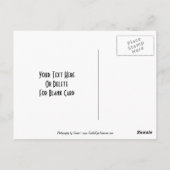 Niedliche Papagei-Postkarte Postkarte (Rückseite)