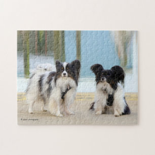 Niedliche Papillon Toy Spaniels Hunde am Dock Puzzle