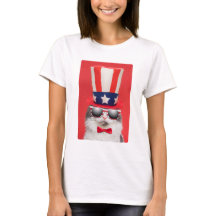 Niedliche Patriotische Amerikanische Katze