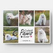 Niedliche Paws je Moderne Niedliche Hundfoto-Colla Fotoplatte (Vorderseite)