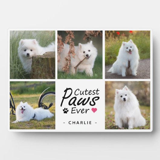 Niedliche Paws je Moderne Niedliche Hundfoto-Colla Fotoplatte (Vorderseite)