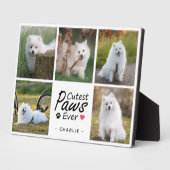 Niedliche Paws je Moderne Niedliche Hundfoto-Colla Fotoplatte (Seite)