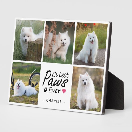 Niedliche Paws je Moderne Niedliche Hundfoto-Colla Fotoplatte (Seite)