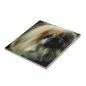 Niedliche Pekingese Fliese (Seite)