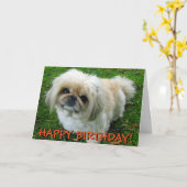 Niedliche Pekingese-Grußkarte Karte (Gelbe Blume)