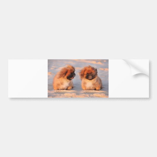 Niedliche Pekingese Hunde Autoaufkleber (Vorne)