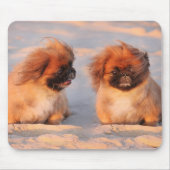 Niedliche Pekingese Hunde Mousepad (Vorne)