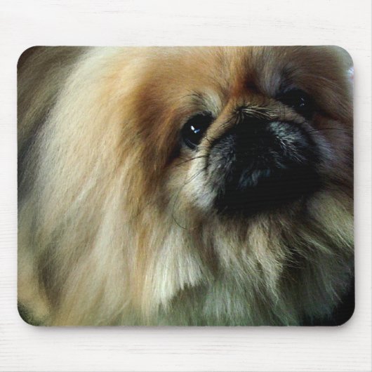 Niedliche Pekingese Mausunterlage Mousepad (Vorne)