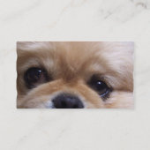 Niedliche Pekingese Welpen-Geschäfts-Karten Visitenkarte (Rückseite)