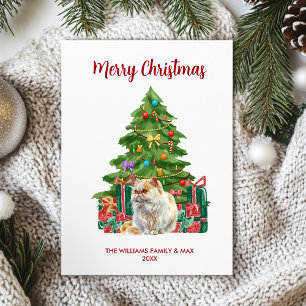 Niedliche persische Cat Holiday Card Feiertagskarte