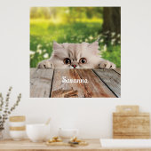 Niedliche Persische Peeking-Katze Poster (Küche)